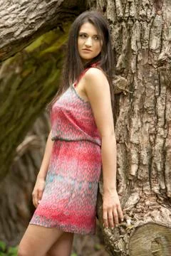 Girl Posing On A Tree Stock Photos