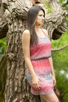 Girl Posing On A Tree Stock Photos