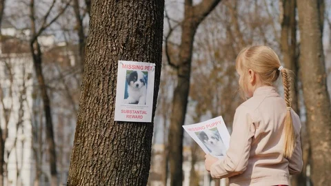 Girl with a poster about his missing dog. Pet search Stock Footage 123217154