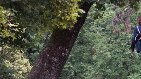 Girl praising the tree Stock Footage 80638694
