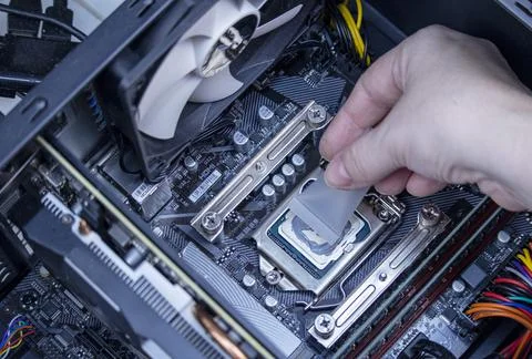 Girl programmer apply thermal paste on the computer processor, 写真素材