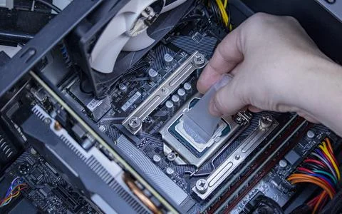 Girl programmer apply thermal paste on the computer processor, 스톡 사진