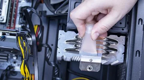 Girl programmer apply thermal paste on the computer processor, 写真素材