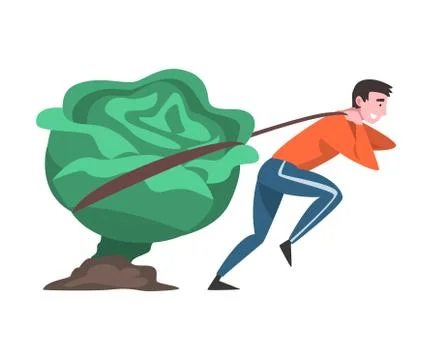 Girl Pulling Big Head of Cabbage, Female Farmer Character with Natural Organic Ilustración de archivo