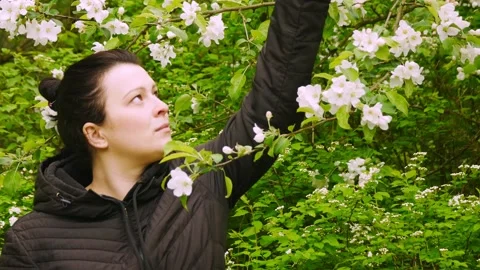 The girl pulls hands a branch of Apple blossoms.Sniffing Apple blossoms. 스톡 동영상 131076207