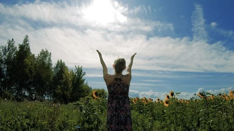 The girl pulls her hands to the sun Stock Footage 115364657