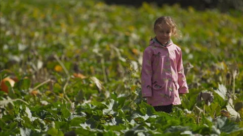 Girl in a pumpkin patch Vídeo Stock 58820550