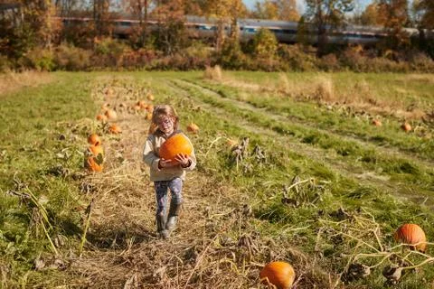 Girl in pumpkin patch 스톡 사진
