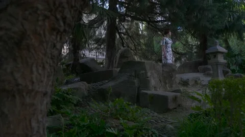 Girl puts a book on a stone plan through a tree Stock Footage 131669933