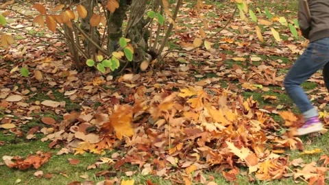 Girl raking fall leaves Stock Footage 132706853
