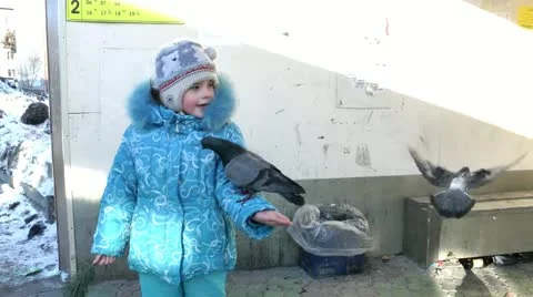 The girl is rather afraid of pigeons, but all the same with them plays Stock Footage