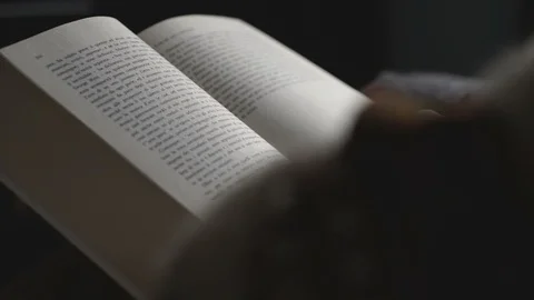 Girl Reading a Book Video stock 86595487