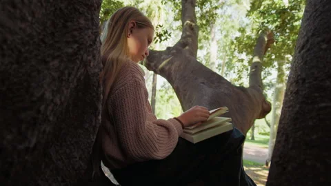 Girl reads a book while sitting on a tree branch in a park Stock Footage 337115959