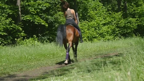 Girl riding a horse gallop in the forest Stock Footage
