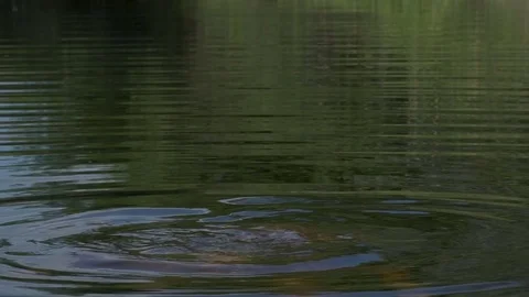 The girl in the river Stock Footage 80789576