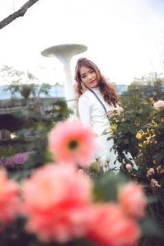 Girl in rose garden. Stock Photos