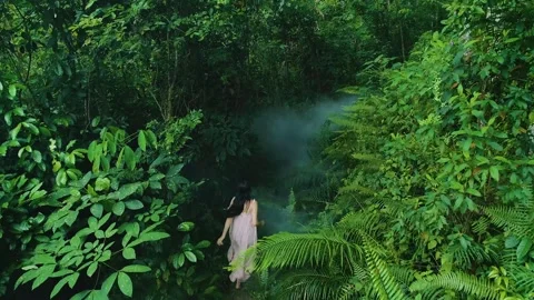 Girl running on a forest path 2 Video stock 288236744