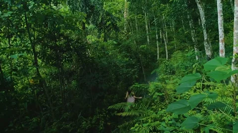 Girl running on a forest path 3 Video stock 288236901