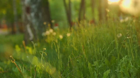 Girl running on the grass, springtime Video stock 63762507