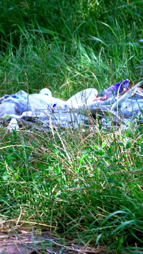 Girl searching for plastic waste under green trees near river Stock Footage 340577019