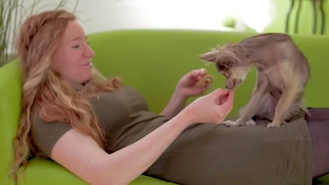 Girl shared cookie with small dog Stock Footage 77575337