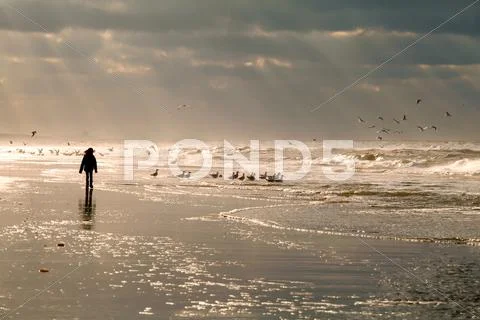 Girl silhouette on North sea beach Stock Photos