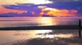 Girl Silhouette Stroll along the Beach During Impressive Sunset. HD Footage