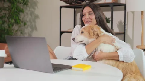 Girl sitting at desk working on computer with beloved Border Collie dog by her Stock Footage 315309738