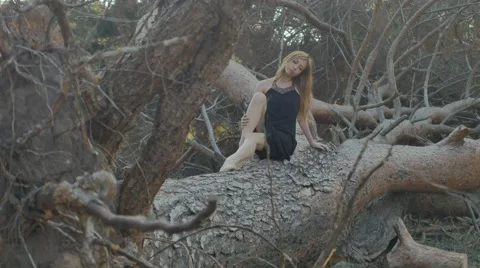 Girl sitting on a fallen tree Stock Footage 63925459
