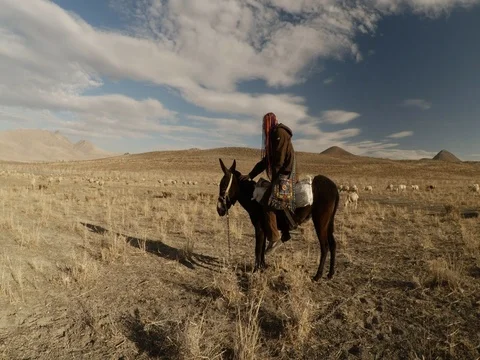 A girl is sitting on a mule stroking it  in a Dry mountainous area and posing Stock Footage 77881089