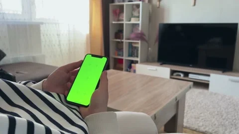 Girl sitting on sofa with smartphone while her Jack Russel terrier puppy wants Stock Footage 236584379