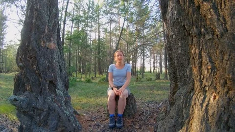 Girl sitting on a stump between two large trees in the woods Video stock 111353360