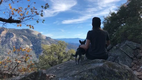 Girl with Small Dog Overlooking Scenic View Stock-Footage 101617853