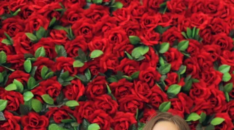 Girl smiling at camera on the background of red roses Stock Footage 67860243
