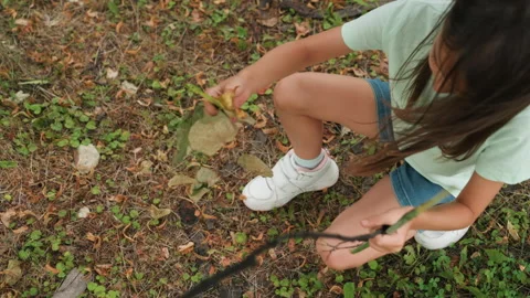 Girl sorting and inspecting leaves on forest floor. Young girl meticulously Stock Footage 331958700