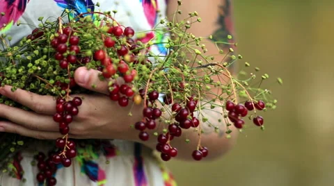 Girl spring Stock Footage 53828673