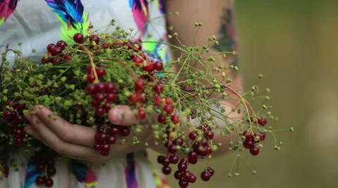 Girl spring Stock Footage 53828760