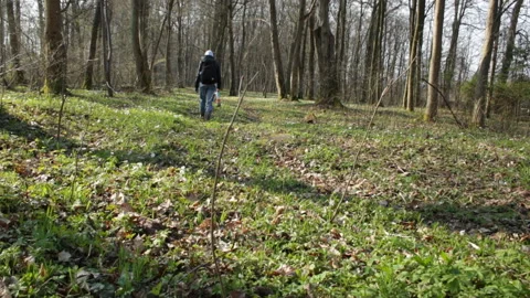 Girl in the spring forest Video stock 153383674