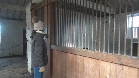 Girl in stable Video stock 86689551