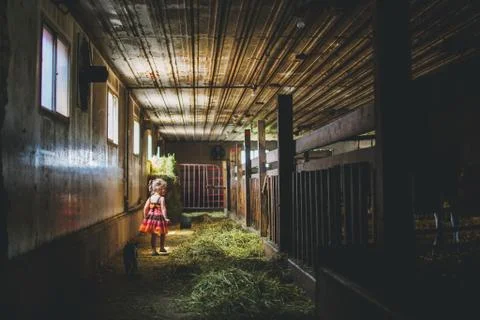 Girl in a stable Stock Photos