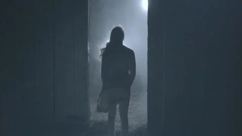 Girl standing outside of barn while it's snowing, slow motion silhouette Stock-Footage 157507935