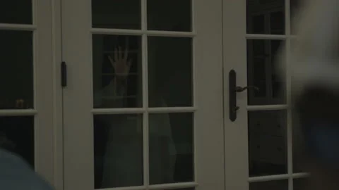 Girl Stands With Hand On Window Stock Footage 208748396