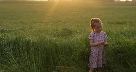 Girl stands near a field with spikelets summer sunset Stock Footage
