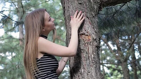 A girl stroking the bark of a pine in a pine forest. The concept of love o Stock Footage 75915847