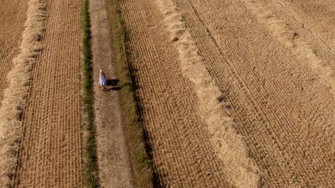 Girl with stroller 45down Stock Footage 116249044