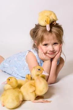 Girl in studio Lying With easter Ducklings Stock Photos