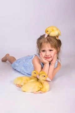 Girl in studio Lying With easter Ducklings Stock Photos