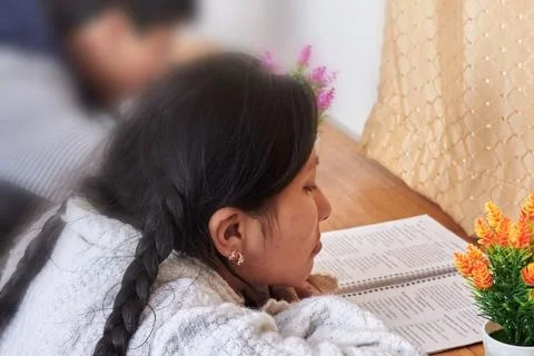 Girl studying with open notebook while classmate studies in background Stock Photos