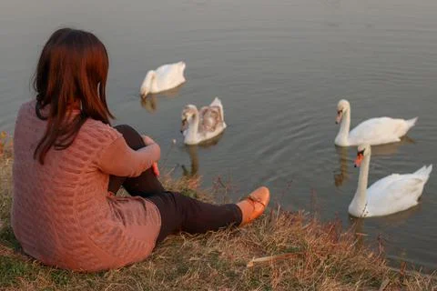 A girl on a swan lake Stock Photos