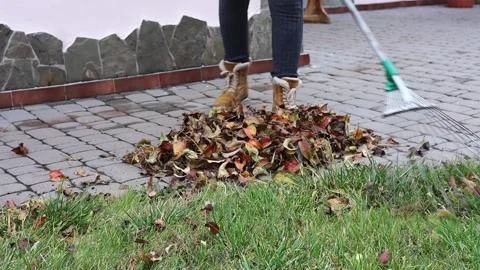 Girl sweeping Stock Footage 164579743